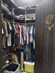Blk 871B Tampines Greenlace (Tampines), HDB 4 Rooms #554036861